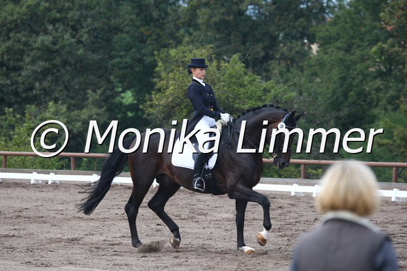 009M9689_Don Vito_Dressur S_St. Georg.JPG